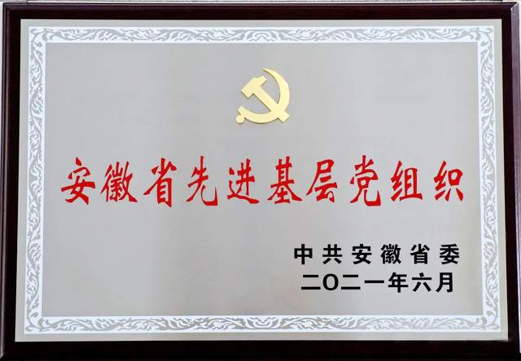 1.省先進(jìn)基層黨組織獎牌.jpg